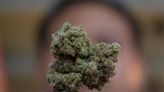 26 local marijuana dispensaries readying recreational sales