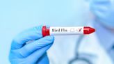 Bird flu in US: What we know, what we don't