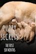 Puppy Secrets: First Six Months