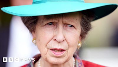 Princess Anne leaves hospital after treatment for minor injury