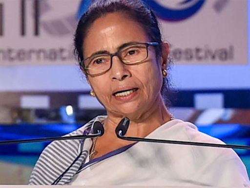 Mamata Banerjee Says 'NDA Government Not Stable, May Fall' | WATCH