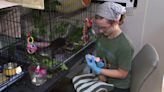 Carolina Wildlife Conservation Center is a one-of-a-kind animal sanctuary