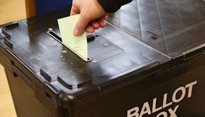 General Election 2024 candidates for Wells and Mendip Hills - full list