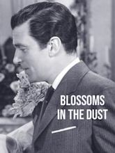 Blossoms in the Dust