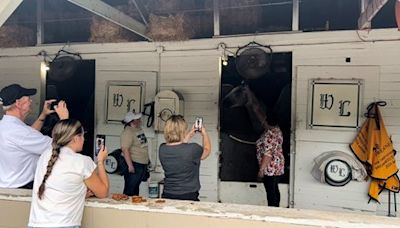 MyRacehorse Celebrates Seize the Grey At Breakfast