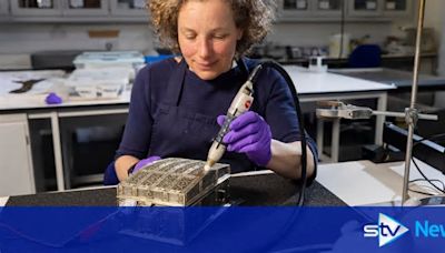 Casket thought to have been owned by Mary Queen of Scots to go on tour