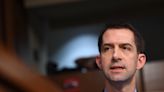 Tom Cotton, Kari Lake show how much Trump, Republicans have normalized violent rhetoric