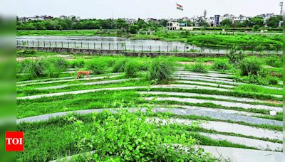 Restoration of Welcome Jheel Park in East Delhi Facing Setbacks | Delhi News - Times of India