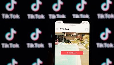 Federal lawsuit against TikTok to focus on children's privacy: report