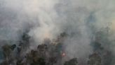 Number of Brazil Amazon fires hits five-year high in August