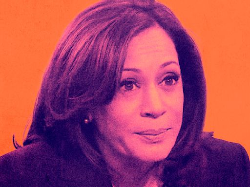 Dozens of right-wing media personalities suggested Kamala Harris’ political success is due to DEI