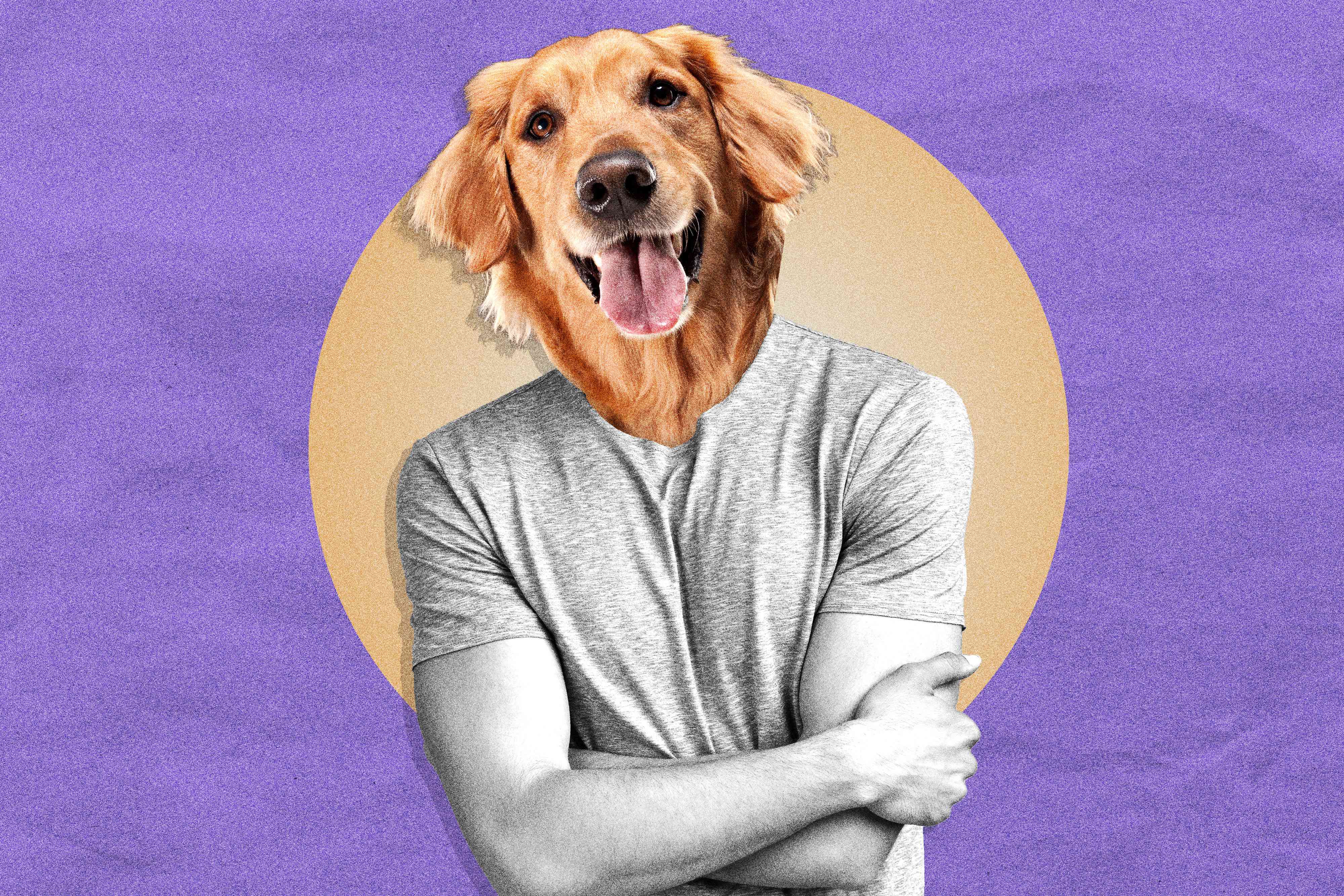 Behold, Your Reason to Date a Golden Retriever Boyfriend