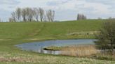 Body of teenage boy recovered from Mitcham Common pond