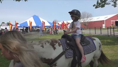 Niagara County Fair approaching