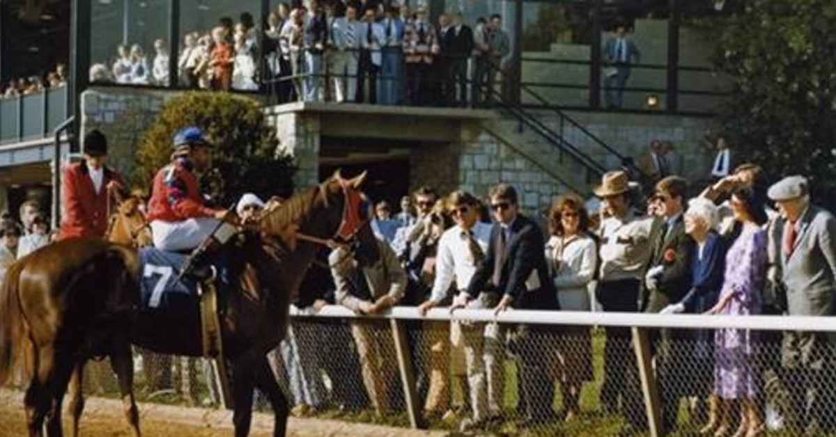 Bloodlines Presented By Walmac Farm: The Triumph And Tragedy Of Alydar, And The Man Who Documented It