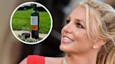 Britney Spears elogió a un Malbec mendocino y lo compartió en sus redes: cuál es la bodega que eligió | Economía