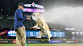 Seattle Mariners include Tucker, the team dog, in media guide for first time