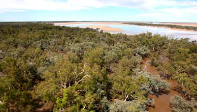 Australian weather bureau sees 50% chance of La Nina this year