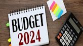 Union Budget 2024-25: NSEFI Calls for Key Fiscal Amendments to Power Renewables