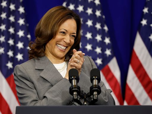 44,000 Black women raised $1.5 million for Kamala Harris in 3 hours on a Zoom call that crashed the online meeting platform