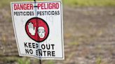 Por causa de un entierro clandestino de pesticidas contaminantes, condenaron al Estado Nacional a indemnizar a tres familias por daños a la salud