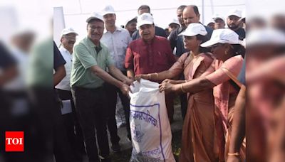 Nitin Gadkari Advocates for Plastic Waste Utilization in Highway Construction | Nagpur News - Times of India