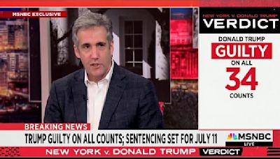 Michael Cohen Gets Back at Trump Lawyer Over Courtroom ‘Liar’ Jab
