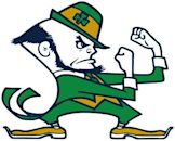 Notre Dame Leprechaun