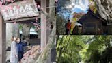 東京後花園「多摩」戶外小旅行 百年酒窖、古道、螢火蟲超夢幻
