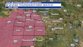 Severe Thunderstorm Warning issued for Wichita County, Texoma