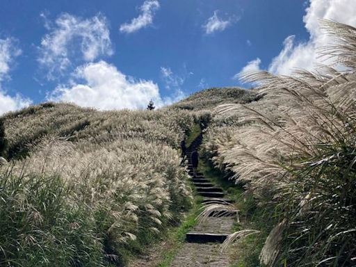 陽明山驚見妹子脫光內衣趴趴走 登山客PO出15張圖！網友一看怒了