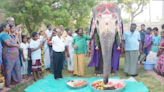 Viral Video: Elephant's Birthday Bash Is The Most Adorable Thing You Will See Today