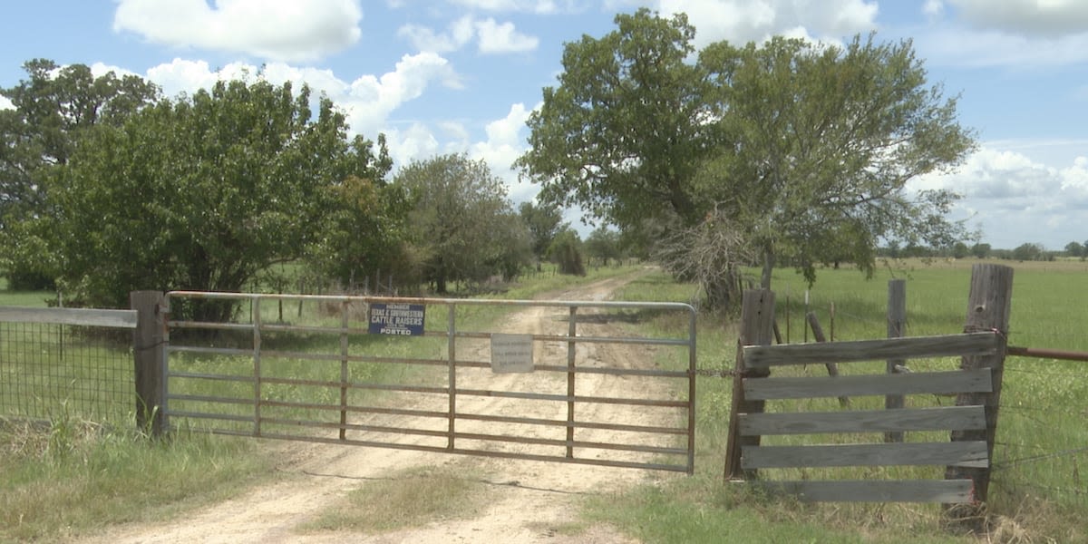 Man dies after being stung by dozens of bees