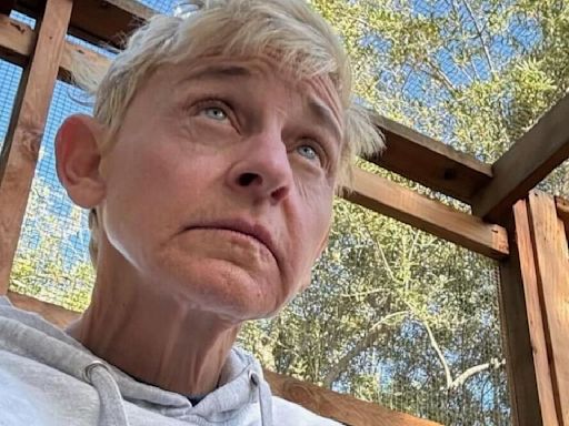 Ellen DeGeneres Reveals She's Done With Show Business After Her Next Netflix Special