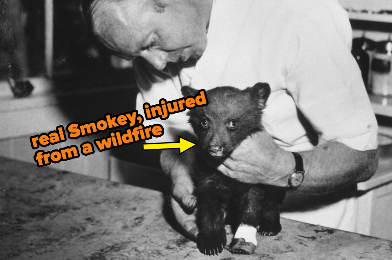 Smokey Bear Was A Real Orphaned Bear Cub In A Wildfire, And The Pictures Of Him Are Equal Parts...