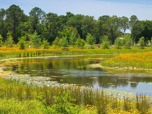 How Houston redesigned an abandoned golf course to keep a nearby neighborhood from flooding