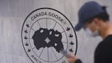 Canada Goose stock nosedives as it cuts outlook due to China disruptions