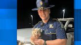 State Police trooper patrolling in Bossier rescues kitten in middle of highway