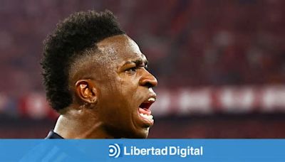 Vinícius, un tigre nunca discute con un burro