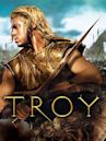 Troy (film)