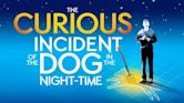 The Curious Incident of the Dog in the Night-Time (play)