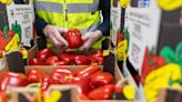 Physical checks to begin on EU-UK food and farm imports