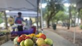 Surfside Beach Farmer’s Market vendors hit with inflation