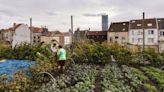 Urban agriculture beats conventional agriculture on climate — if it’s done right