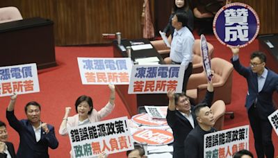 風評：電價凍漲就是政治、非專業，有問題嗎？-風傳媒