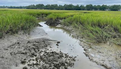 SC pluff mud is a dangerous mess. Here’s what it is, how to escape it or avoid it entirely