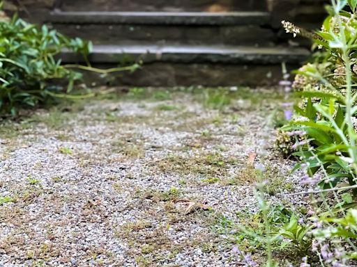 Banish gravel weeds with amazing natural 1 minute tip - no white vinegar or salt