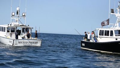 Feeding frenzy in the final showdown as Wicked Tuna's 13th season concludes