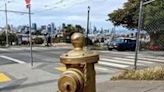 Hundreds of Los Angeles fire hydrants stolen as fire season starts