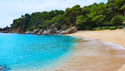 Una de las mejores playas de la Costa Brava: el increíble paraíso de agua cristalina y arena fina que está a 1 hora en coche de Barcelona